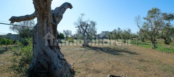 4 غرف نوم فيلا في Sannicola, Italy رقم 231383 8