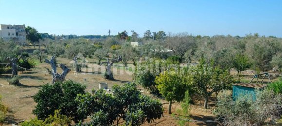 4 غرف نوم فيلا في Sannicola, Italy رقم 231383 27