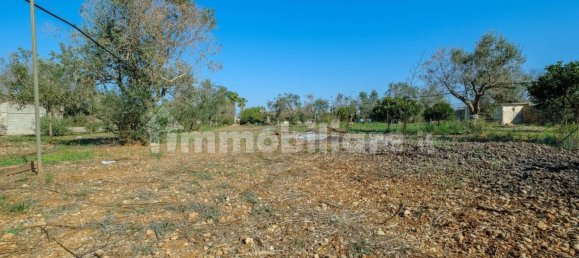 4 غرف نوم فيلا في Sannicola, Italy رقم 231383 9