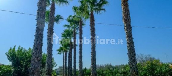 4 غرف نوم فيلا في Sannicola, Italy رقم 231383 18