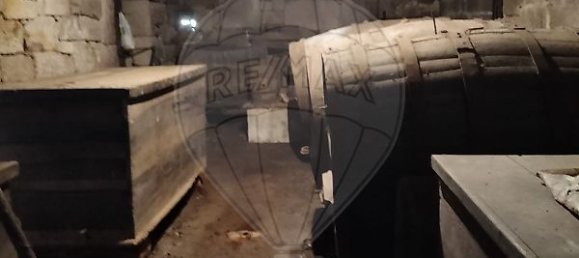 5 غرف نوم منزل في Vouzela, Portugal رقم 19048 12