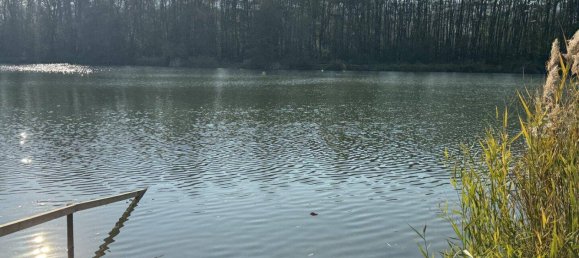 3غرفة منزل في Wiesen, Austria رقم 165512 6