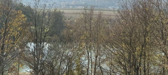 3غرفة منزل في Wiesen, Austria رقم 165512 4