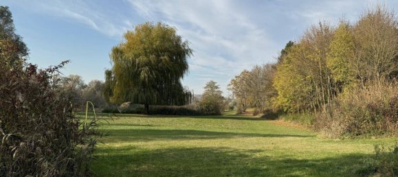 3غرفة منزل في Wiesen, Austria رقم 165512 7