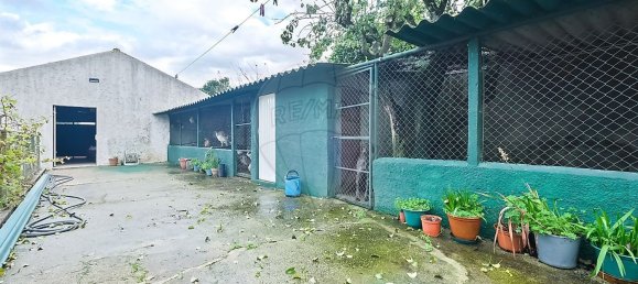 Casa de 5 dormitorios en Cantanhede, Portugal No. 179222 46