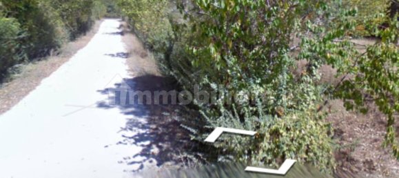 1 room Warehouse in Cingoli, Italy No. 292800 3