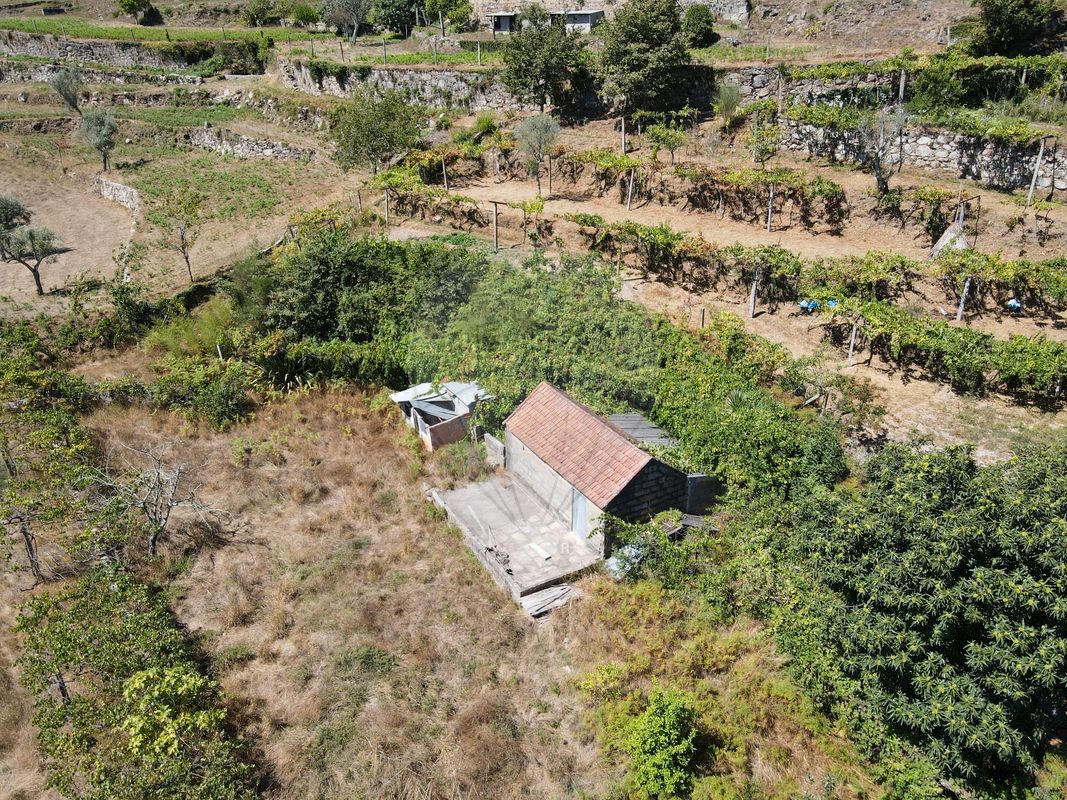 Дом с 6 спальнями в Марку ди Канавезиш, Португалия № 172269