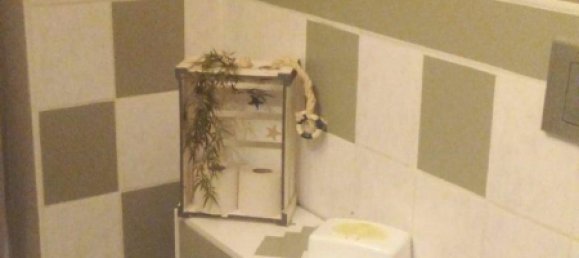 Таунхаус с 1 спальней в Харбург, Германия № 267348 5