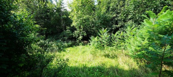 2 rooms Apartment in Graz-Umgebung, Austria No. 227125 8