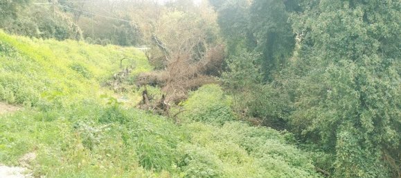 2 Schlafzimmer Wohnung in Montecorvino Rovella, Italy, Nr. 163114 24