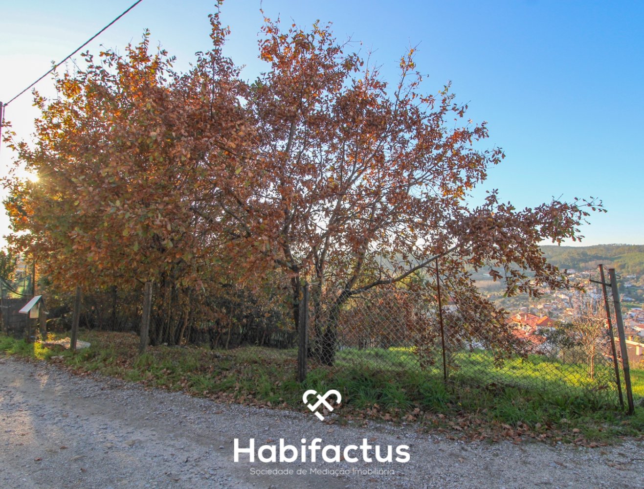 Terreno em Viseu, Portugal N.º 39198