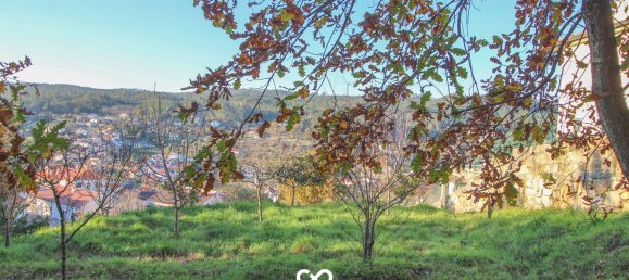 Terreno em Viseu, Portugal N.º 39198 5