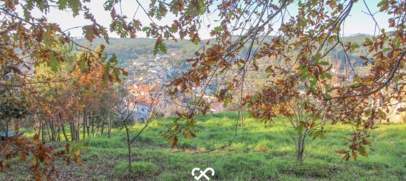 Terreno em Viseu, Portugal N.º 39198 4