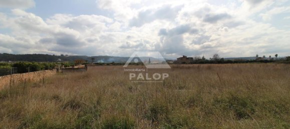 4 bedrooms House in Carcaixent, Spain No. 160228 17