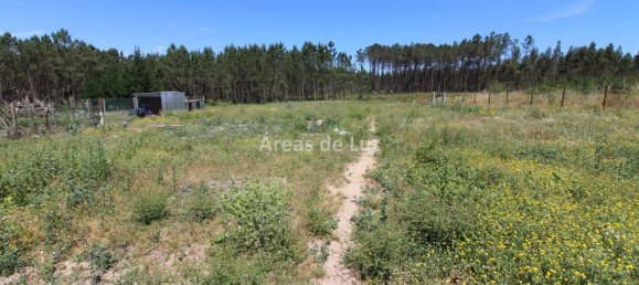 7 Schlafzimmer Haus in Leiria, Portugal, Nr. 152709 27