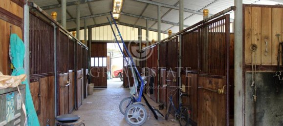 8 chambres Maison à Castelfiorentino, Italy No. 233569 18