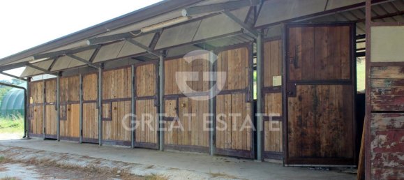 8 chambres Maison à Castelfiorentino, Italy No. 233569 30