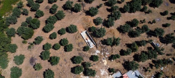 Casa de 4 dormitorios en Montemor o Novo, Portugal No. 15077 16