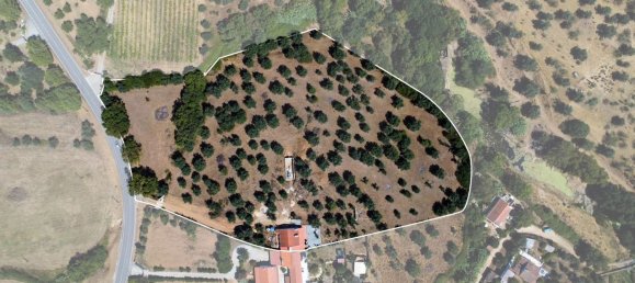 Casa de 4 dormitorios en Montemor o Novo, Portugal No. 15077 9