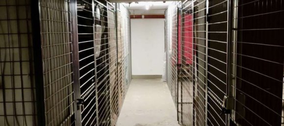 1 Schlafzimmer Wohnung in Nordsachsen, Germany, Nr. 210141 10