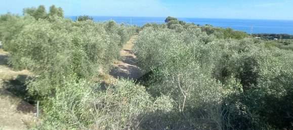 7-salle Villa à Vico del Gargano, Italy No. 18806 14