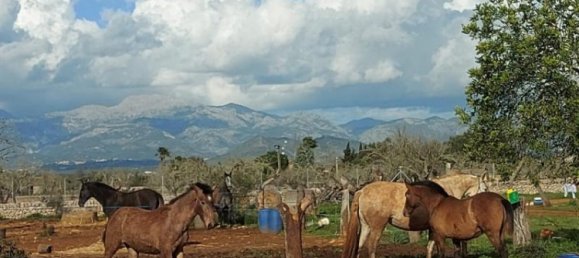 3 bedrooms Land in Sineu, Spain No. 287139 3