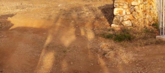 3 bedrooms Land in Sineu, Spain No. 287139 2