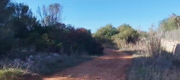 3 bedrooms Land in Sineu, Spain No. 287139 7