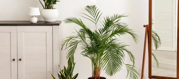 5 bedrooms Apartment in Trentino-Alto Adige, Italy No. 325617 8