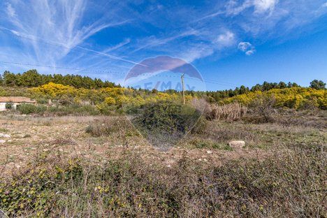 7500m² Land in Macainhas, Portugal No. 70062