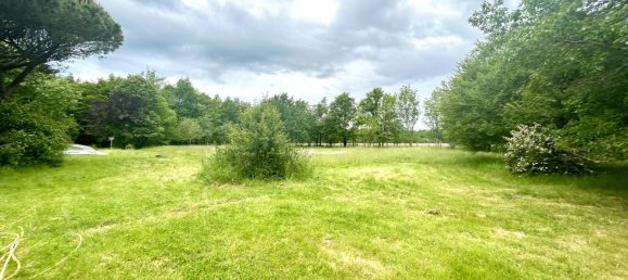 5 bedrooms House in Ligny-le-Ribault, France No. 245222 2