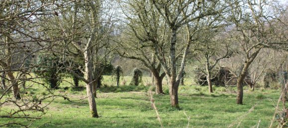 3 Schlafzimmer Haus in Ernee, France, Nr. 357889 8
