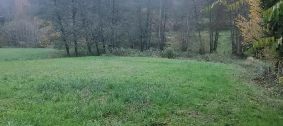 1350m² Land in Walschbronn, France No. 153009 3