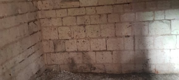 3 bedrooms House in Plichancourt, France No. 50238 15