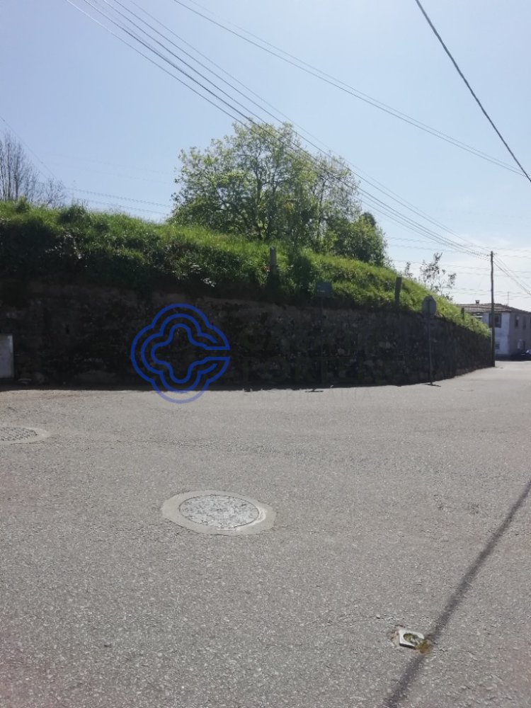 Земельный участок 4000м² в Вила Нова ди Гая, Португалия № 36206