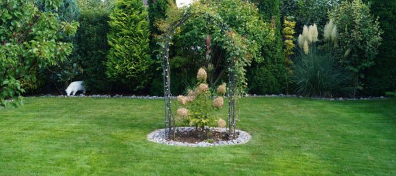 4 bedrooms House in Hesse, Germany No. 367864 11