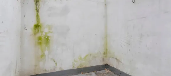 2غرفة منزل في Lille, France رقم 152109 7