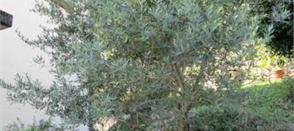 Вилла с 3 спальнями в Комо, Италия № 291700 6