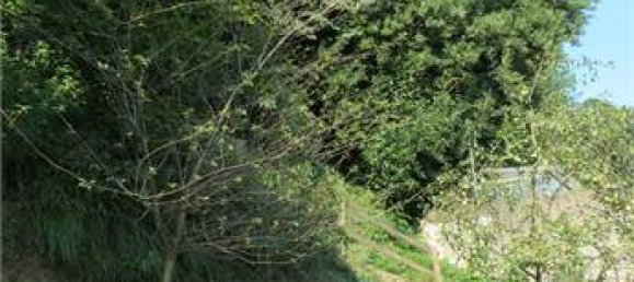 Вилла с 3 спальнями в Комо, Италия № 291700 10