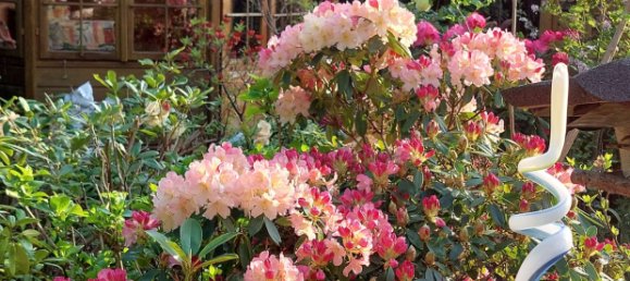 1 bedroom Townhouse in Bremen, Germany No. 238268 3