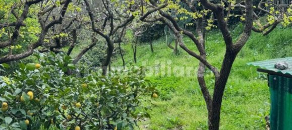 2 bedrooms Apartment in Santa Maria a Monte, Italy No. 49529 20