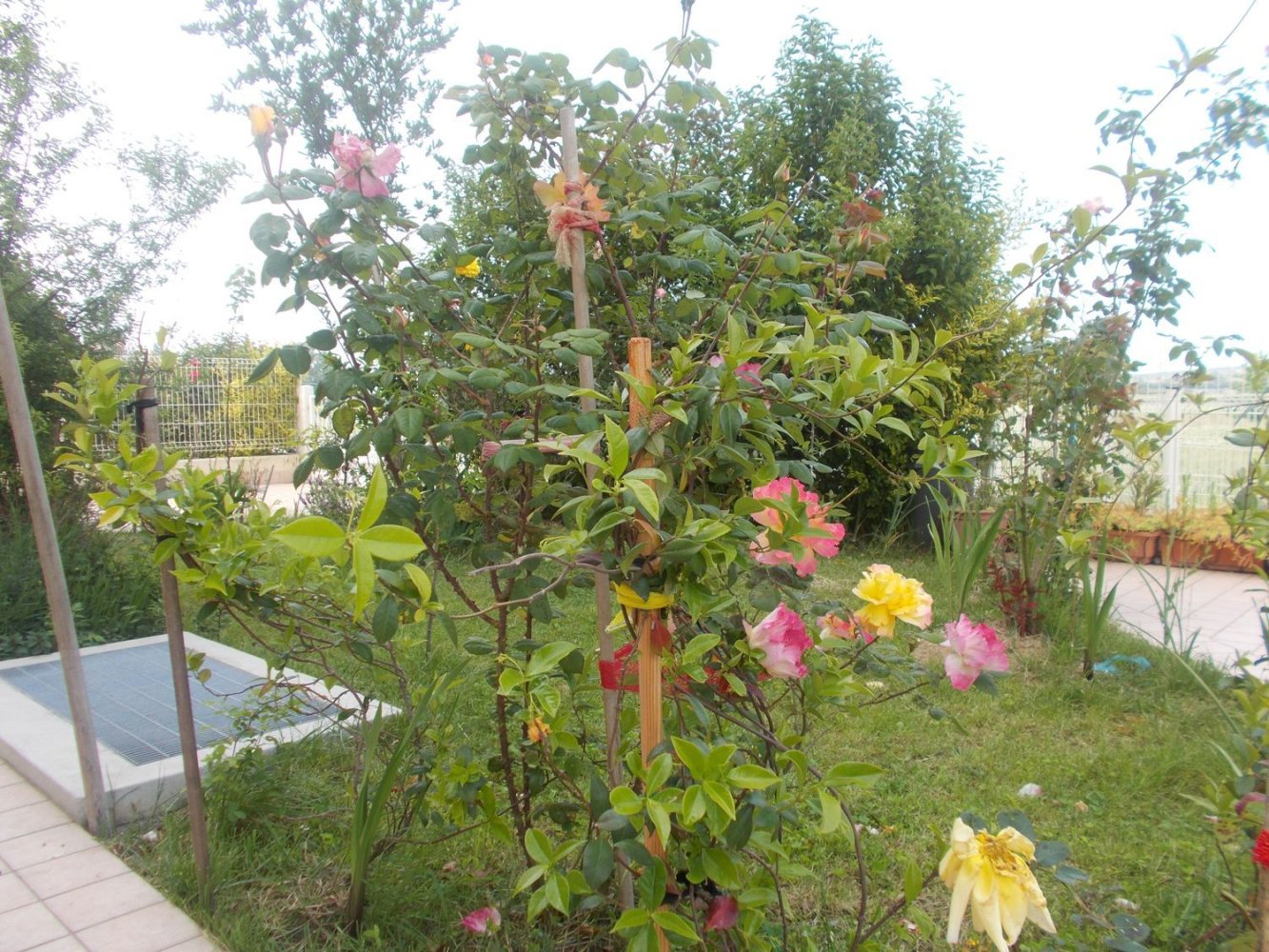 4 bedrooms Apartment in Rimini, Italy No. 372288