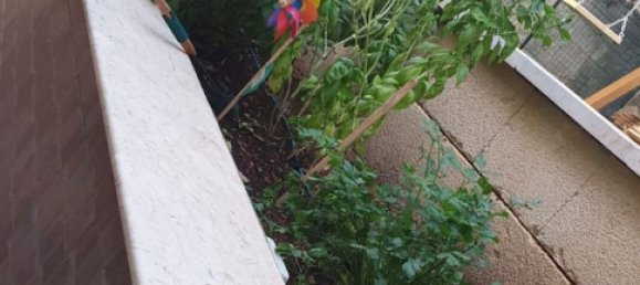 3غرفة منزل في San Vito Lo Capo, Italy رقم 255495 12