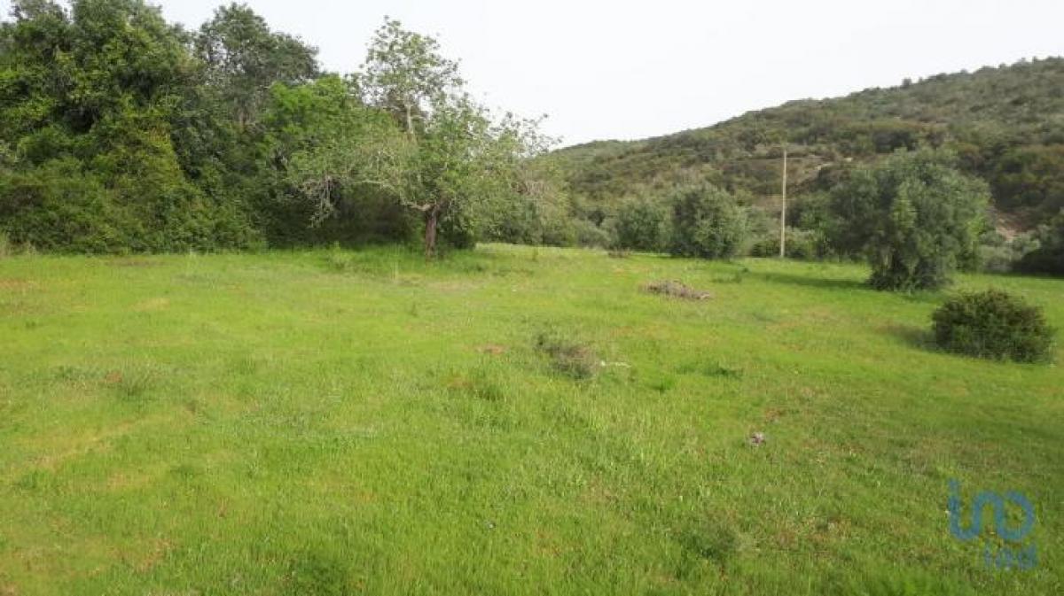  Land in Faro, Portugal No. 9063