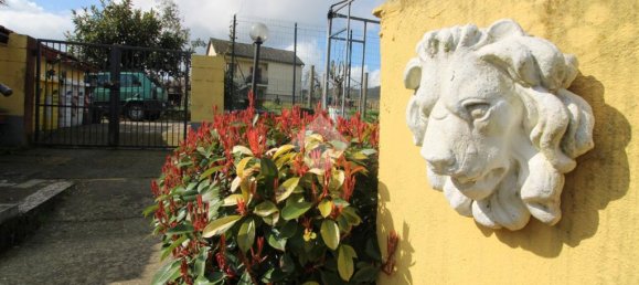 2 bedrooms Villa in Visone, Italy No. 54382 36