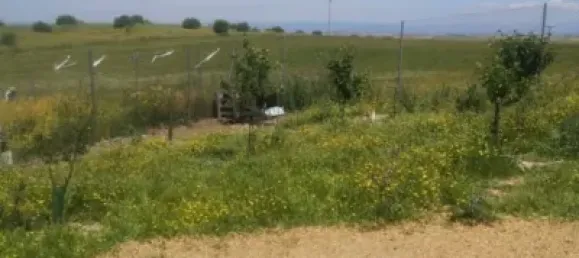 2500m² Land in Madrid, Spain No. 139803 2