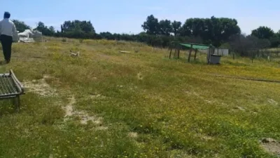 2500m² Land in Madrid, Spain No. 139803