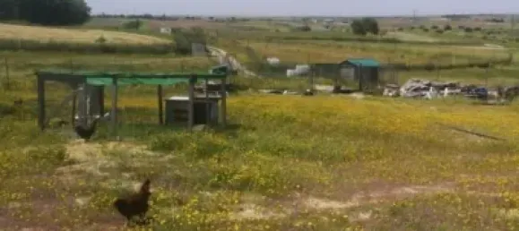 2500m² Land in Madrid, Spain No. 139803 5