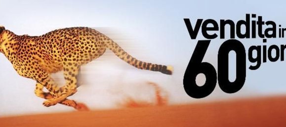 7 rooms Villa in Luni, Italy No. 94399 57