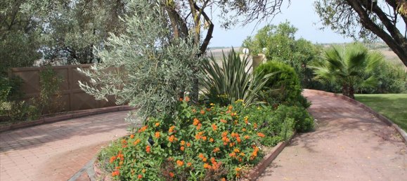 4 bedrooms Villa in Chalkidiki, Greece No. 8092 19